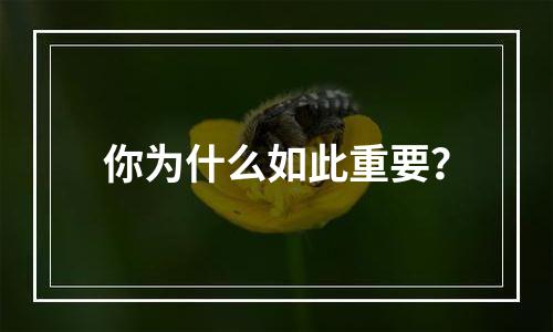 你为什么如此重要？