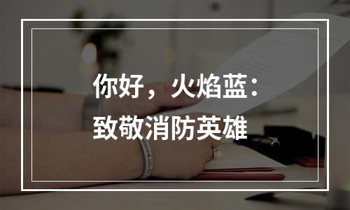 你好，火焰蓝：致敬消防英雄