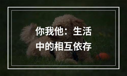 你我他：生活中的相互依存