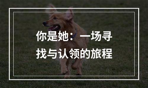 你是她：一场寻找与认领的旅程