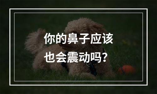 你的鼻子应该也会震动吗？