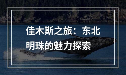 佳木斯之旅：东北明珠的魅力探索