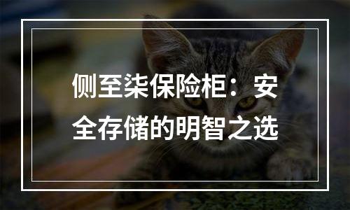 侧至柒保险柜：安全存储的明智之选