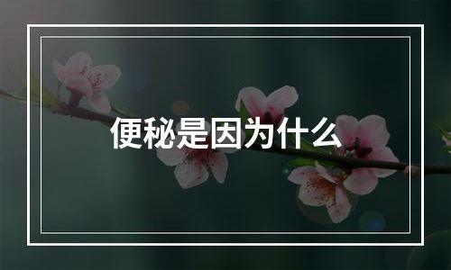 便秘是因为什么