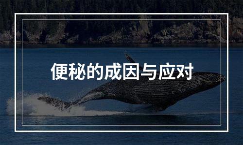 便秘的成因与应对