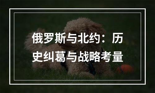 俄罗斯与北约：历史纠葛与战略考量