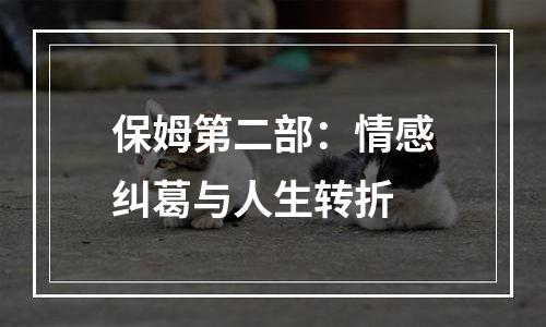 保姆第二部：情感纠葛与人生转折