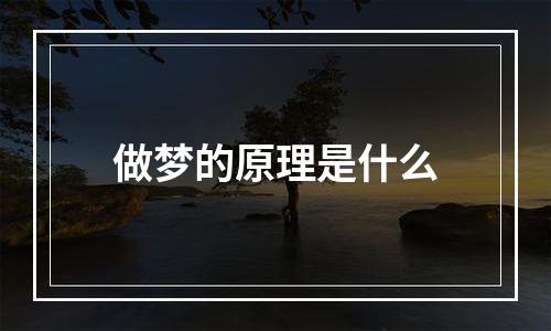 做梦的原理是什么