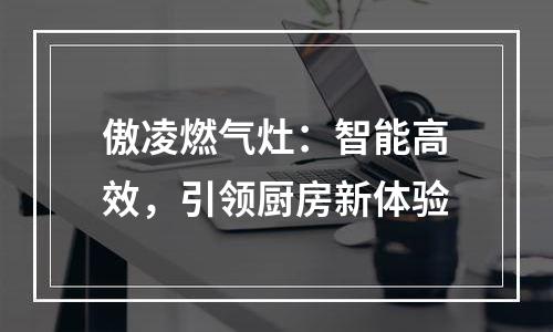 傲凌燃气灶：智能高效，引领厨房新体验
