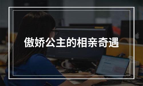 傲娇公主的相亲奇遇