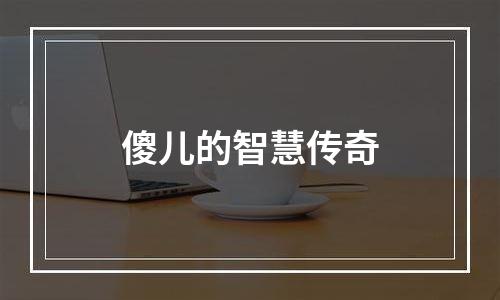 傻儿的智慧传奇