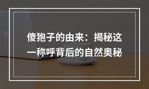 傻狍子的由来：揭秘这一称呼背后的自然奥秘