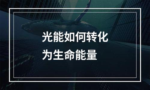 光能如何转化为生命能量