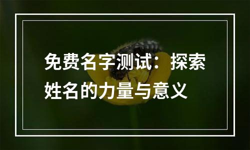 免费名字测试：探索姓名的力量与意义