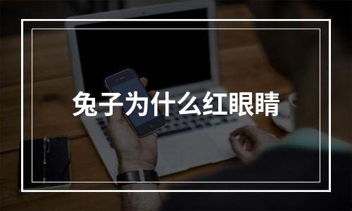 兔子为什么红眼睛