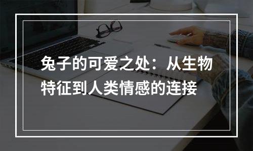 兔子的可爱之处：从生物特征到人类情感的连接