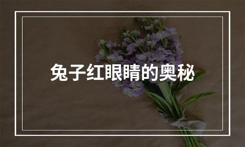 兔子红眼睛的奥秘