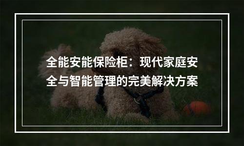 全能安能保险柜：现代家庭安全与智能管理的完美解决方案