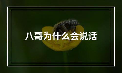 八哥为什么会说话