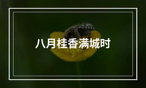 八月桂香满城时