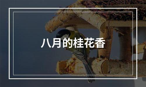 八月的桂花香