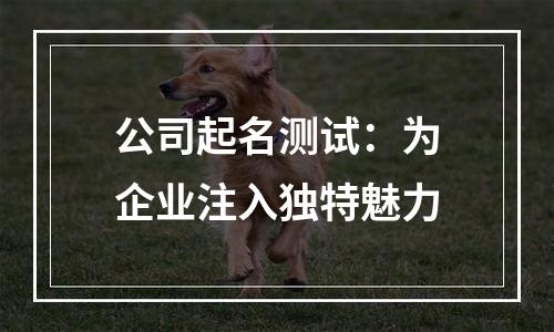 公司起名测试：为企业注入独特魅力