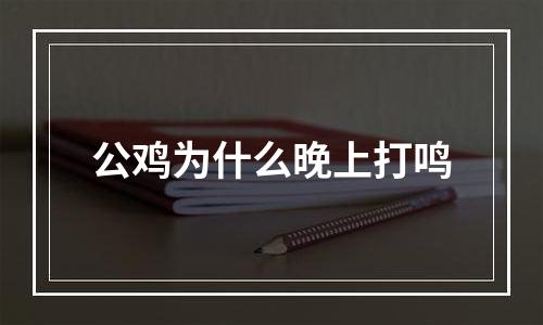 公鸡为什么晚上打鸣