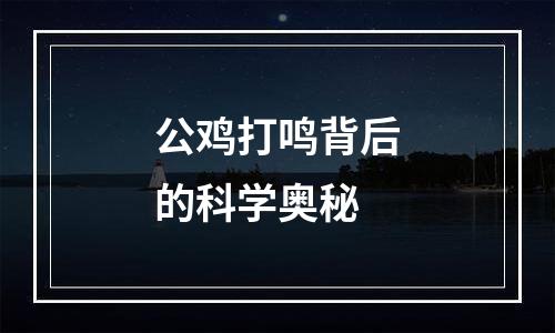 公鸡打鸣背后的科学奥秘