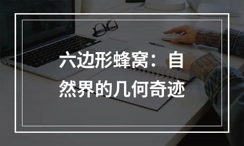 六边形蜂窝：自然界的几何奇迹