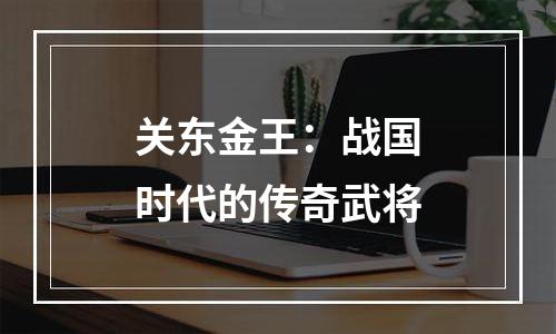 关东金王：战国时代的传奇武将