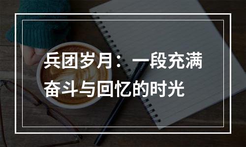 兵团岁月：一段充满奋斗与回忆的时光