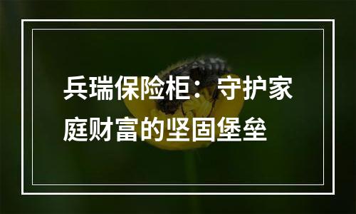 兵瑞保险柜：守护家庭财富的坚固堡垒