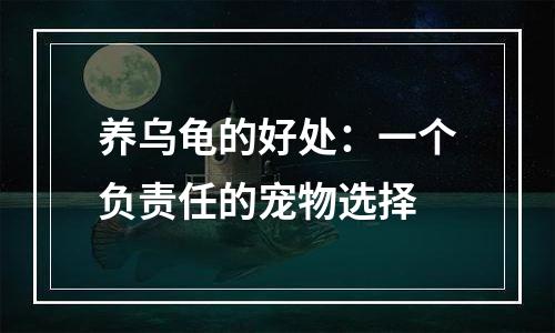 养乌龟的好处：一个负责任的宠物选择