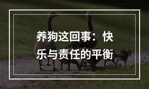 养狗这回事：快乐与责任的平衡