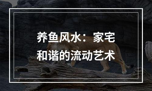 养鱼风水：家宅和谐的流动艺术