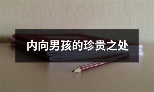 内向男孩的珍贵之处