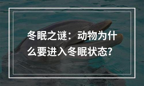 冬眠之谜：动物为什么要进入冬眠状态？
