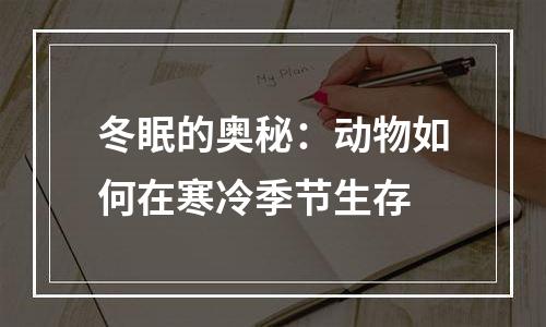 冬眠的奥秘：动物如何在寒冷季节生存