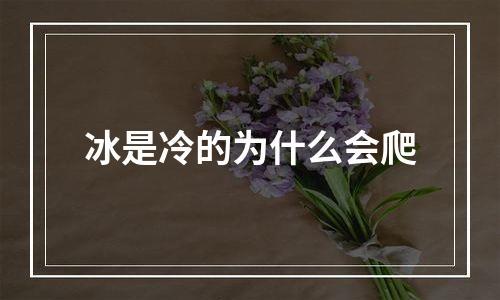冰是冷的为什么会爬