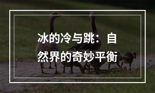 冰的冷与跳：自然界的奇妙平衡