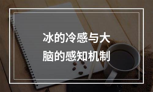冰的冷感与大脑的感知机制