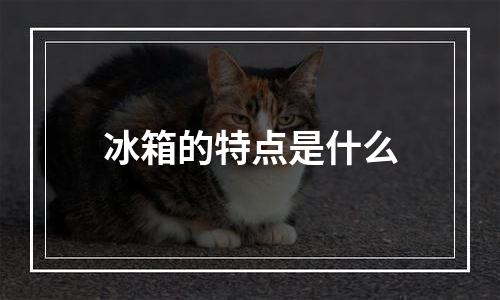 冰箱的特点是什么