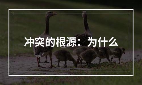 冲突的根源：为什么