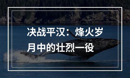 决战平汉：烽火岁月中的壮烈一役
