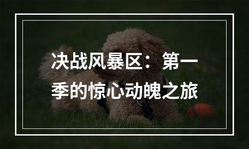 决战风暴区：第一季的惊心动魄之旅