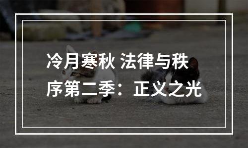 冷月寒秋 法律与秩序第二季：正义之光