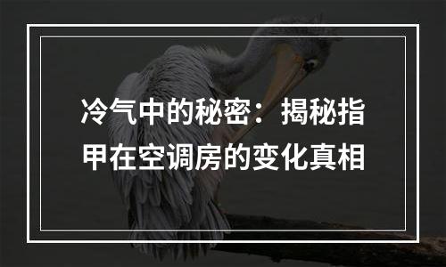冷气中的秘密：揭秘指甲在空调房的变化真相