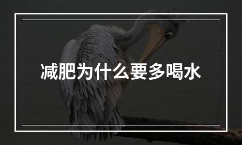 减肥为什么要多喝水