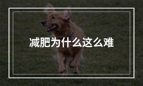 减肥为什么这么难