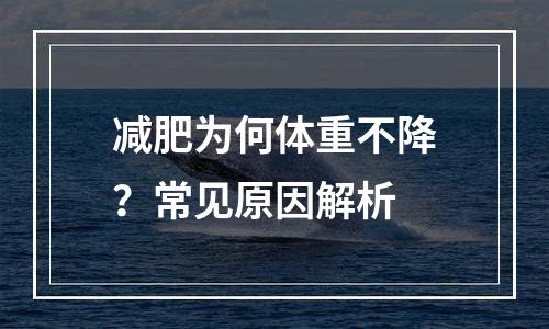 减肥为何体重不降？常见原因解析